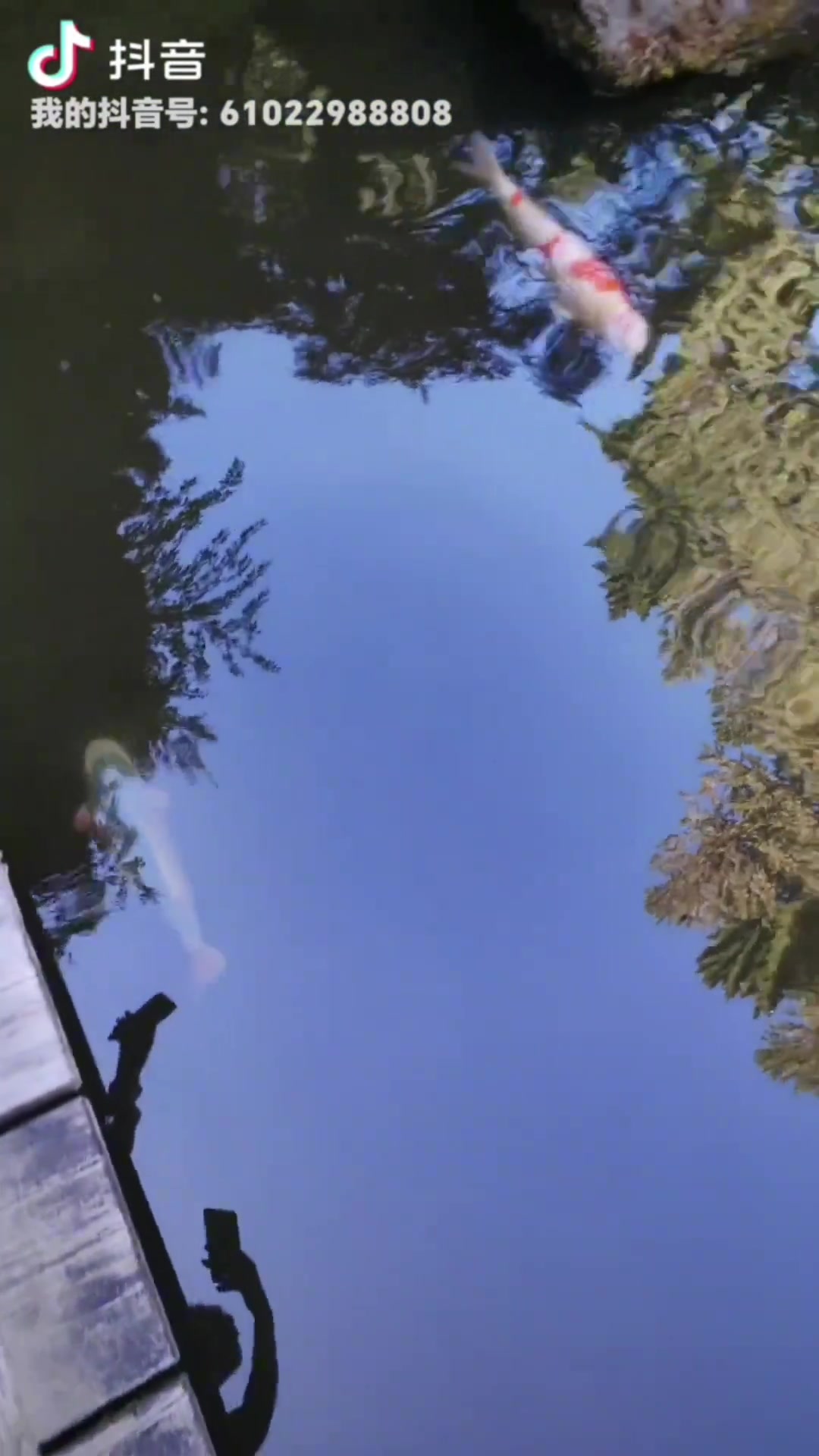 楊瀚森媽媽回應球迷我照相從來不笑就這習慣