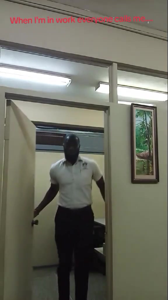 這也太像了我宣布詹姆斯在模仿詹姆斯的比賽中僅得第二名