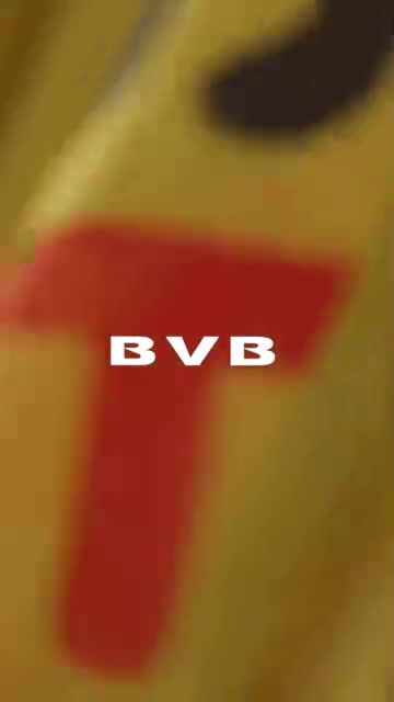 酷炫混剪歡迎來到多特蒙德你是從什么時候開始入坑的呢