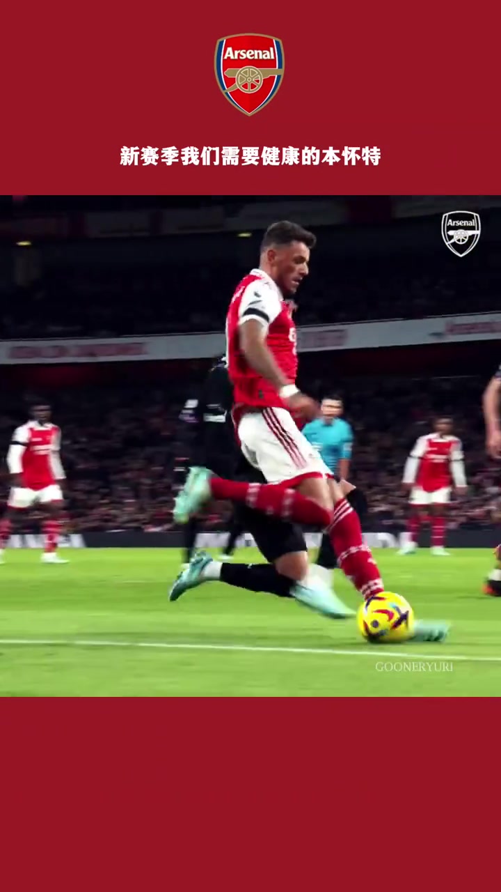 阿森納球迷新賽季我們需要健康的本懷特