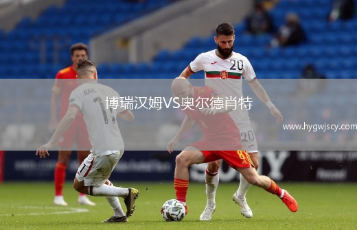 博瑞漢姆VS奧爾德肖特