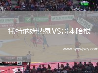 托特納姆熱刺VS哥本哈根