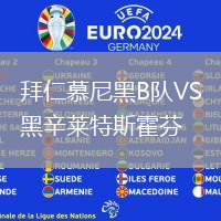 拜仁慕尼黑B隊VS黑辛萊特斯霍芬