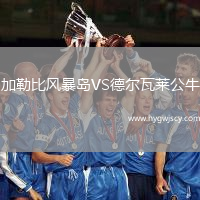 加勒比風(fēng)暴島VS德爾瓦萊公牛