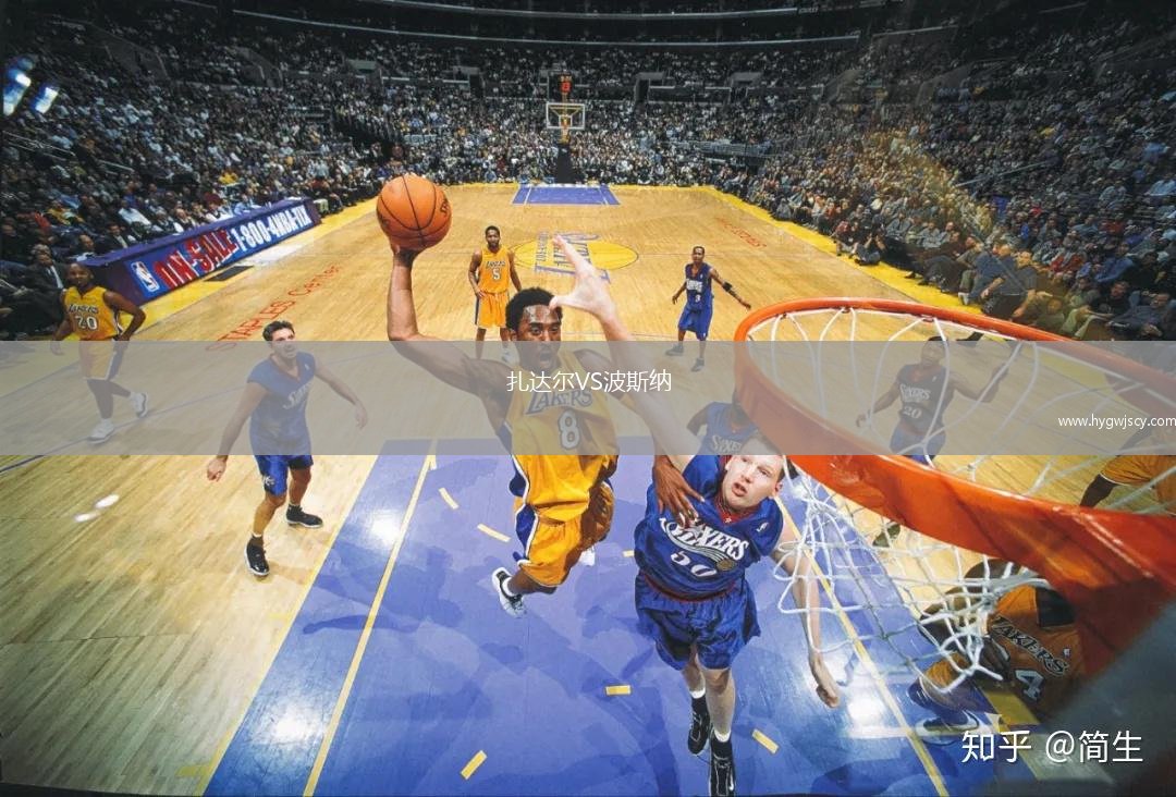 扎達(dá)爾VS波斯納