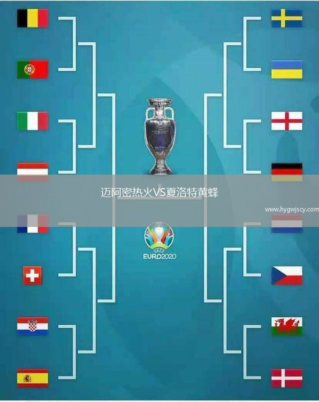 邁阿密熱火VS夏洛特黃蜂