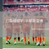 廣島蜻蜓VS宇都宮皇者