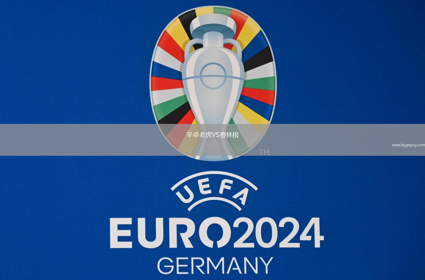 辛卓老虎VS費(fèi)林根