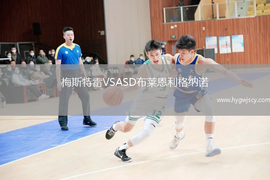 梅斯特雷VSASD布萊恩利格納諾