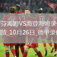 10月26日德甲第8輪霍芬海姆vs海登海姆全場錄像