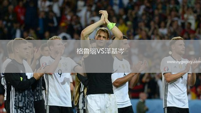 格魯瑙VS澤基岑