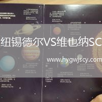 紐錫德?tīng)朧S維也納SC