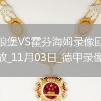 11月03日德甲第9輪沃爾夫斯堡vs霍芬海姆全場錄像