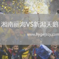 湘南麗海VS新潟天鵝