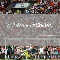 漢諾威96VS達(dá)姆施塔特