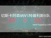 切斯卡阿森納VS特普利斯B隊 切斯卡阿森納VS特普利斯B隊