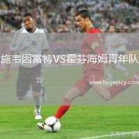 施韋因富特VS霍芬海姆青年隊