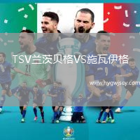 TSV蘭茨貝格VS施瓦伊格