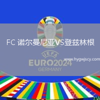 FC 諾爾曼尼亞VS登茲林根