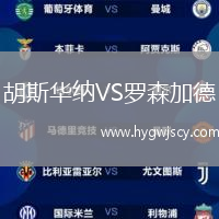 胡斯華納VS羅森加德