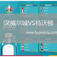 漢威爾城VS特沃頓