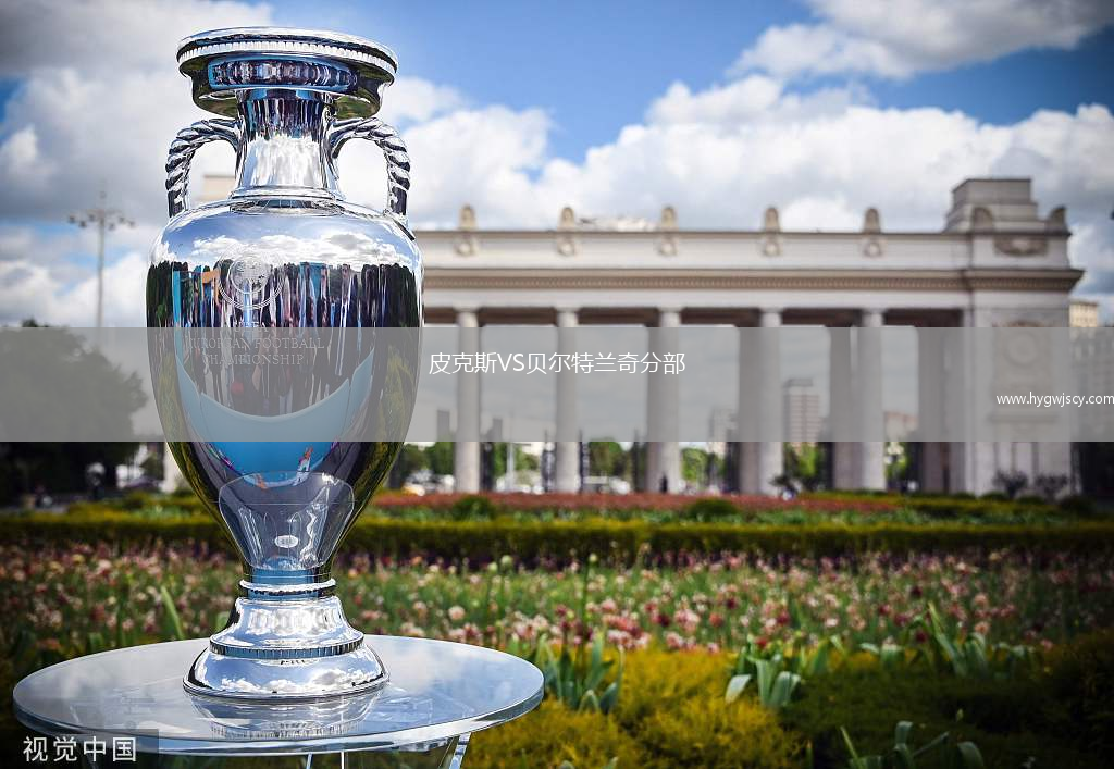 皮克斯VS貝爾特蘭奇分部