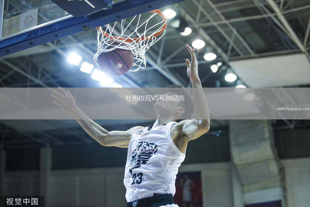 杜布拉瓦VS希別尼克