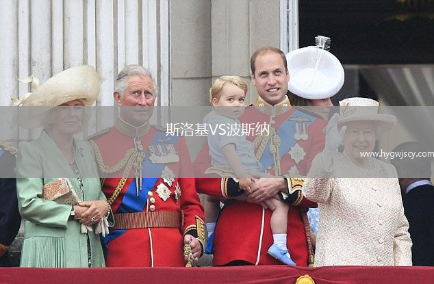 斯洛基VS波斯納