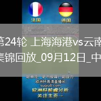 中超第24輪上海海港vs云南玉昆進球