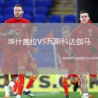 埃什蓋拉VS瓦斯科達伽馬