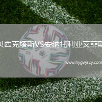 貝西克塔斯VS安納托利亞艾菲斯