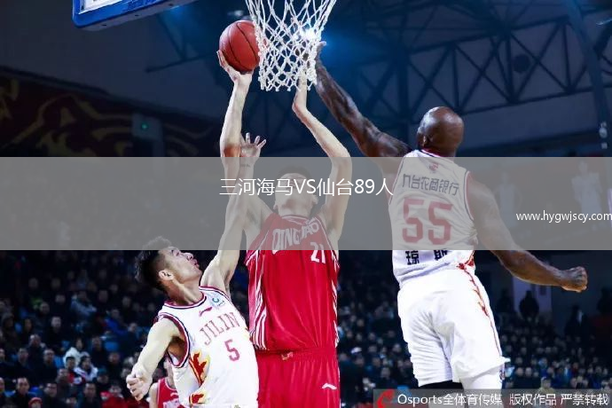 三河海馬VS仙臺(tái)89人