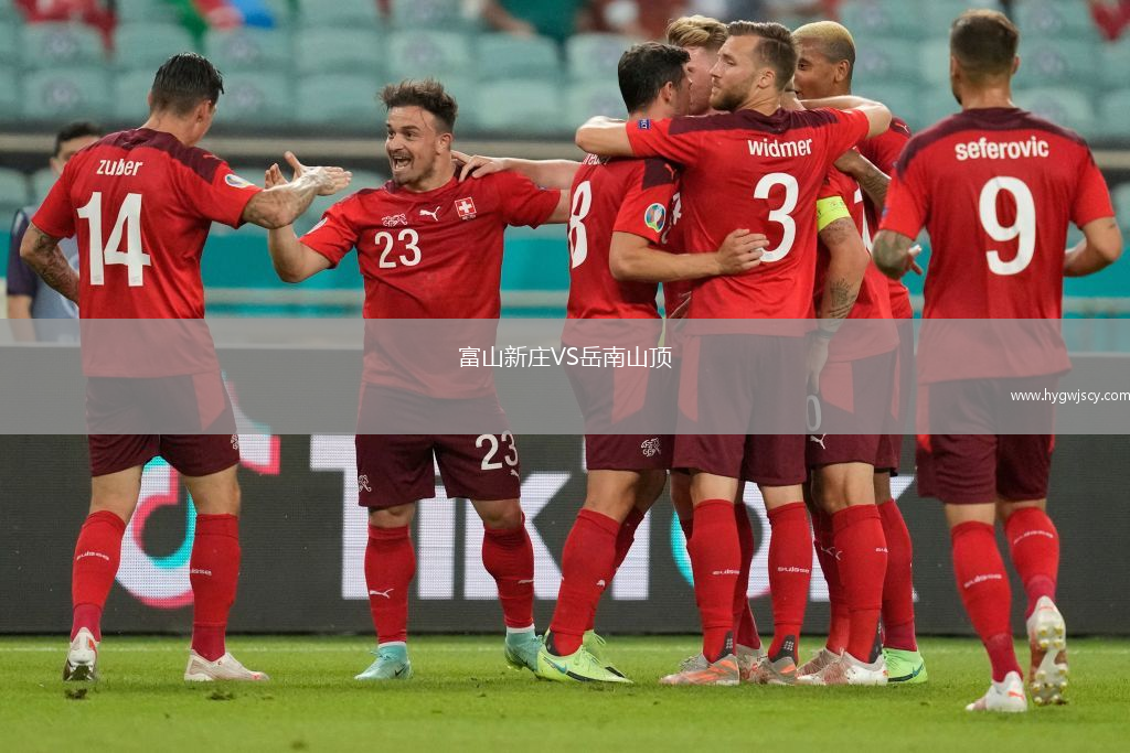 富山新莊VS岳南山頂
