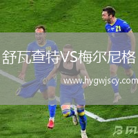 舒瓦查特VS梅爾尼格