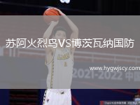 蘇阿火烈鳥VS博茨瓦納國防