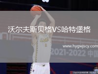 沃爾夫斯貝格VS哈特堡格