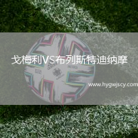 戈梅利VS布列斯特迪納摩