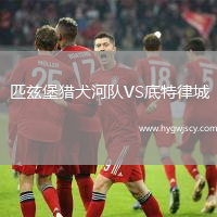 匹茲堡獵犬河隊VS底特律城