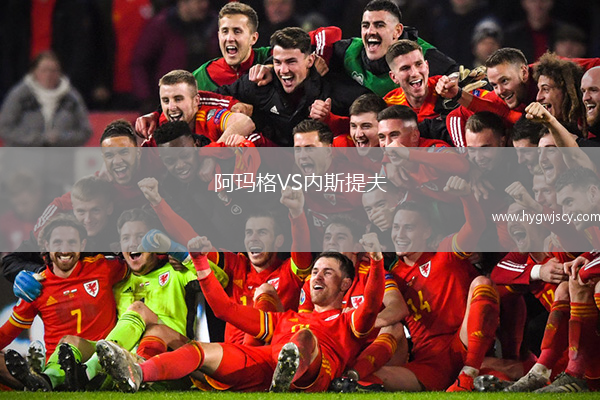 阿瑪格VS內斯提夫