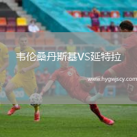 韋倫桑丹斯基VS延特拉