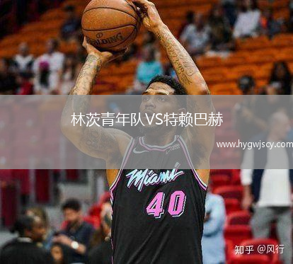林茨青年隊(duì)VS特賴巴赫