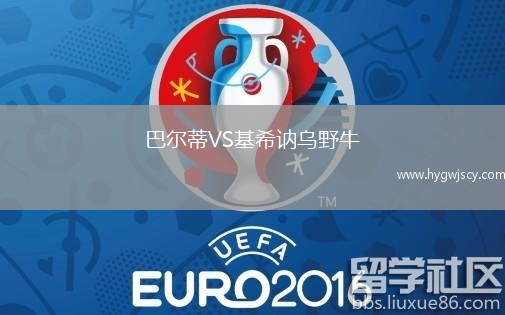 巴爾蒂VS基希訥烏野牛