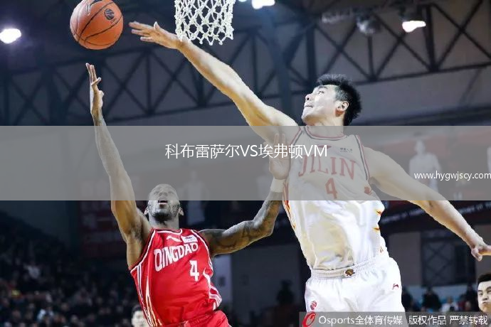 科布雷薩爾VS埃弗頓VM