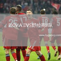 BKMA IIVS舒拉克B隊(duì)