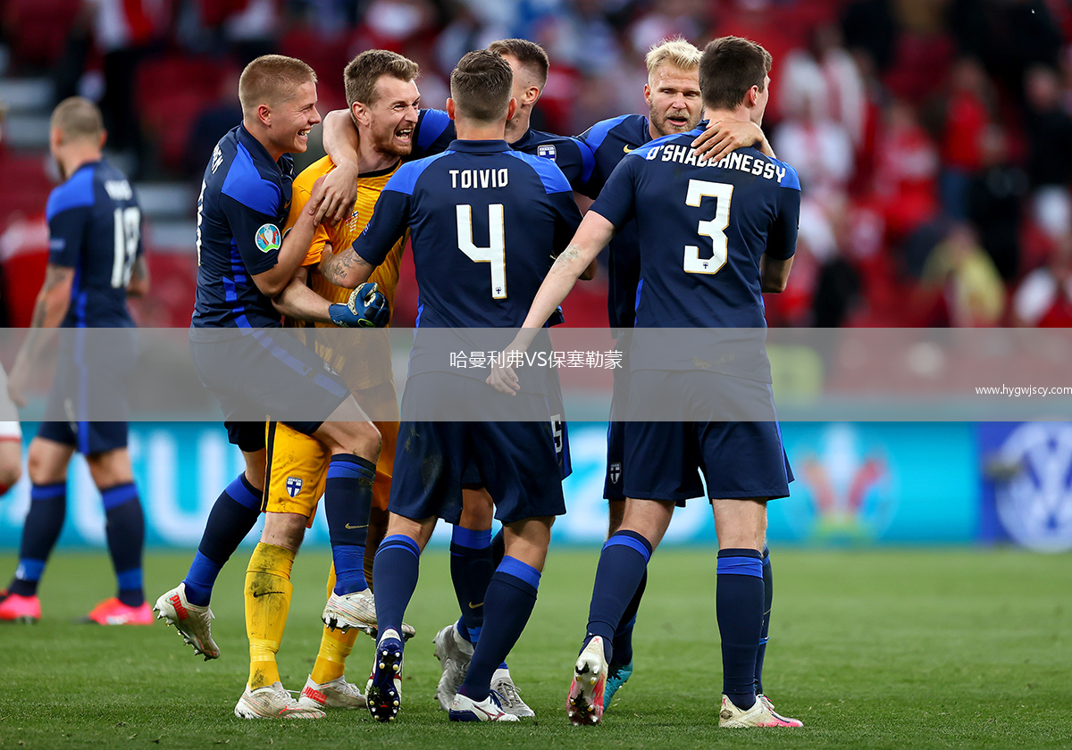 哈曼利弗VS保塞勒蒙