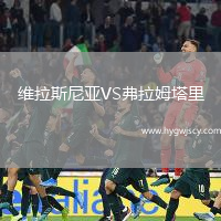 維拉斯尼亞VS弗拉姆塔里