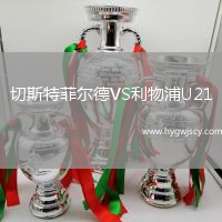 切斯特菲爾德VS利物浦U21