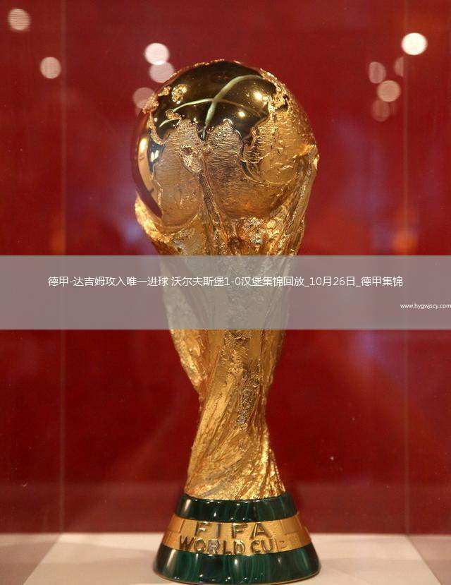 德甲-達(dá)吉姆攻入唯一進(jìn)球沃爾夫斯堡1-0漢堡