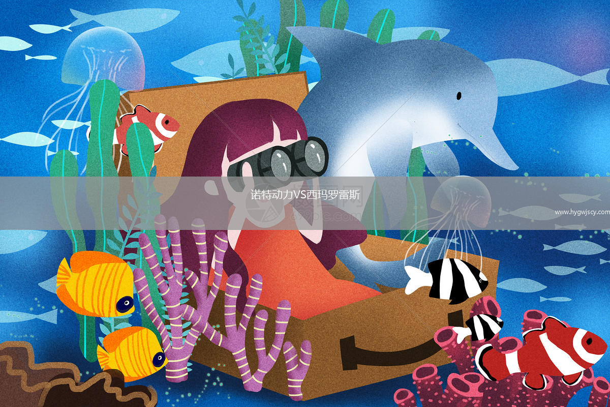 諾特動(dòng)力VS西瑪羅雷斯