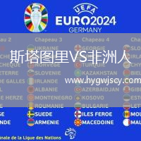 斯塔圖里VS非洲人